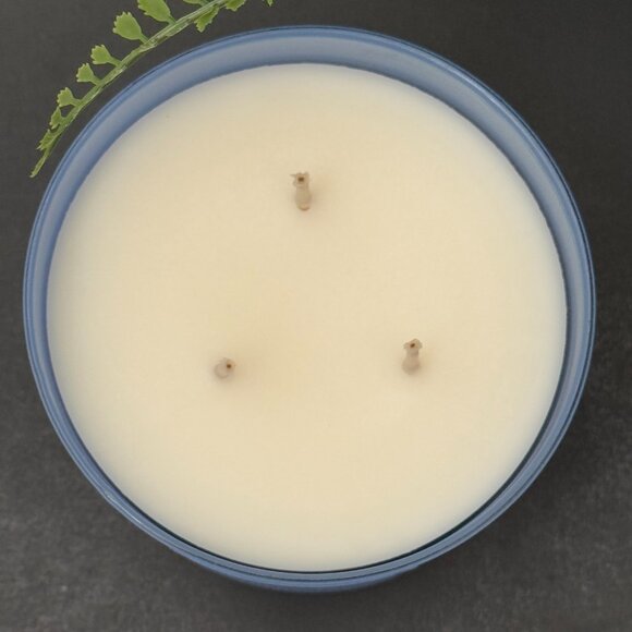 BBW Midnight Blue Citrus White Barn Bath & Body Works 3 Wick Candle - Picture 7 of 10